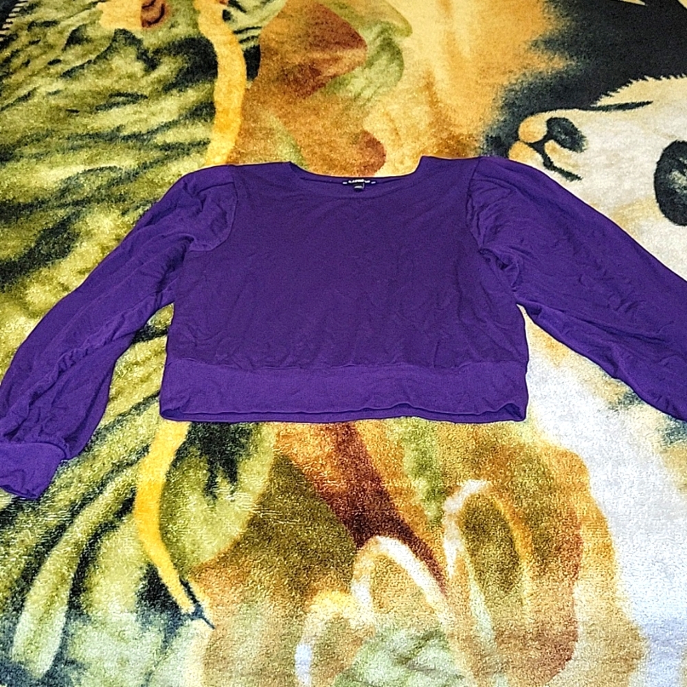 Express purple sweater long sleeve blouse